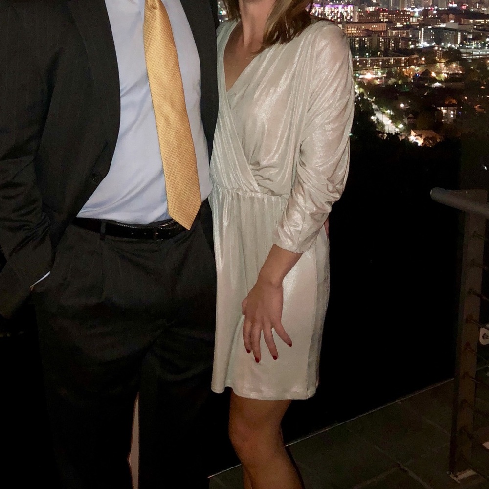 Parker silver dress